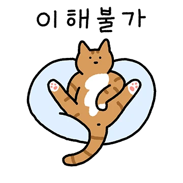 보노의 하루