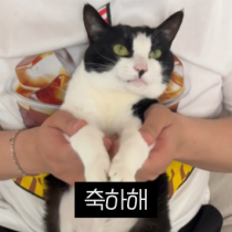 이모티콘 프리뷰