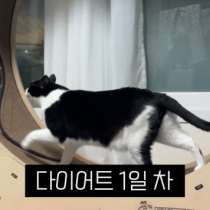 이모티콘 프리뷰