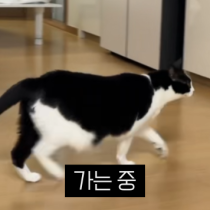 이모티콘 프리뷰