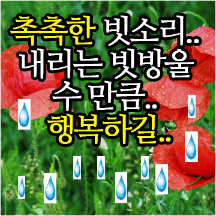 엄마 아빠 감성콘