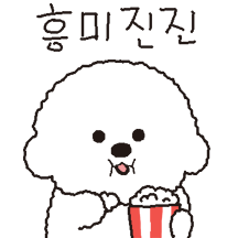 베이비 희동 호기심 천국