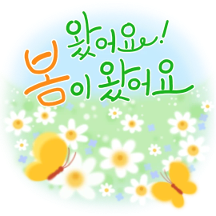 향기로운 봄꽃 메세지