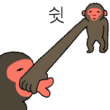 긴팔원숭이 우끼끼 또 왔숭!