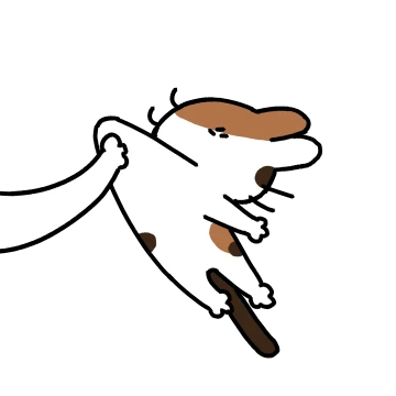 몰린 고양이!