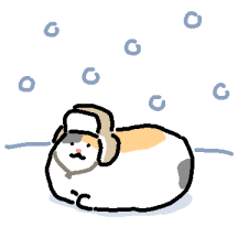 겨울 고앵이모음