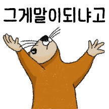 리액션광인 다람찌