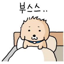 누렁이 또또또또또또또또또또 왔어요!