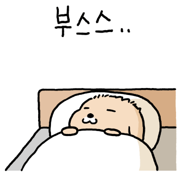 누렁이 또또또또또또또또또또 왔어요!