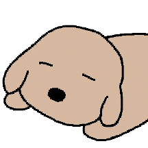 X개