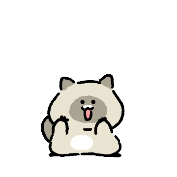 라쿤티콘