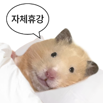 이모티콘 프리뷰