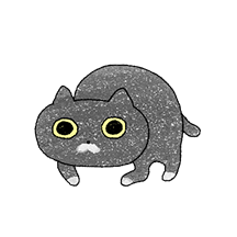 풀동공냥이