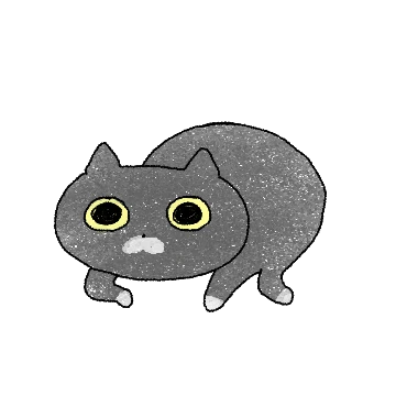 풀동공냥이