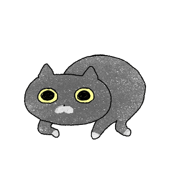 풀동공냥이