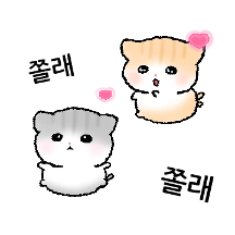 고앙쮸는 집착 중!