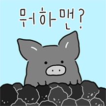 꿀! 제주도산 흑도야지
