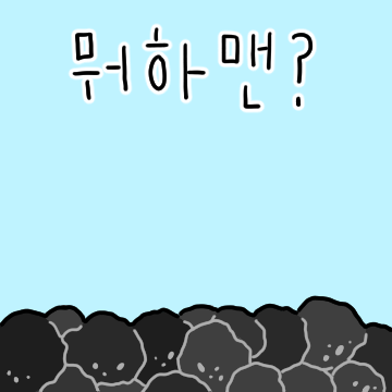 꿀! 제주도산 흑도야지