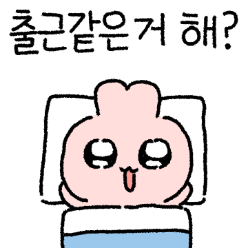 맑은 눈 토깽이