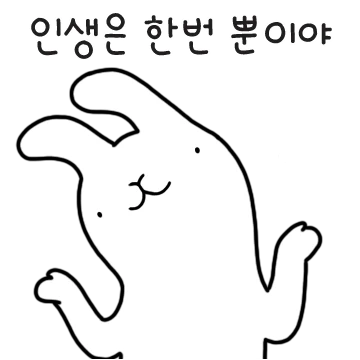오늘도 제정신은 아닌 토끼