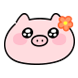 꽃돼지
