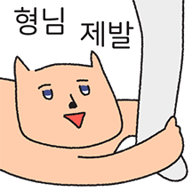 사각여우