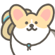 코기