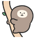 늘보씨