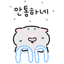 뻘쭘.. 회색 고앵쓰 2