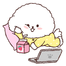 세숑 새 옷 샀숑!