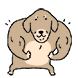 딱스훈트