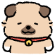 짜장수제비