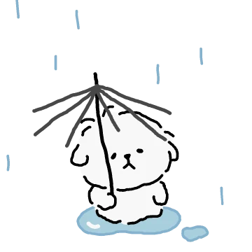 꼬질말티즈 힝구