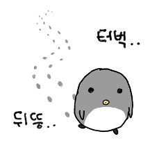 퀭해요...퀭귄