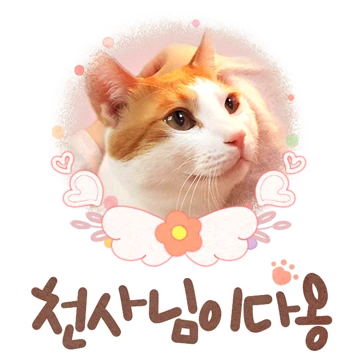 티나 패밀리의 사랑스러운 하루