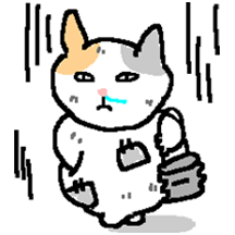 아니, 이 고양이가 왜 이래? 5