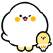 팝코니