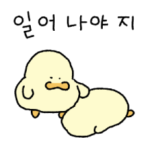 대충 김바덕