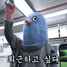 스트릿 출신 똘비의 사회생활