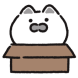쌍둥이냥냥