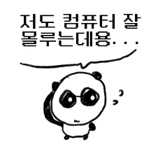 개발짱 판땅