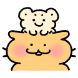 깡쥐꽁냥