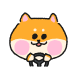 아지는 오늘도