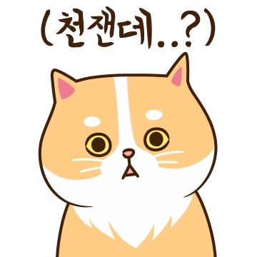 고양이의 속마음