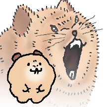 피카왔숑