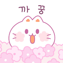 꽃찌찌찌 모찌찌찌