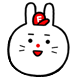 팩트토끼