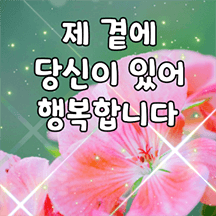 꽃말로 전하는 예쁜 마음