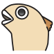 영혼리스 동태눈