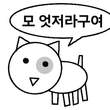 동글동글 냥이